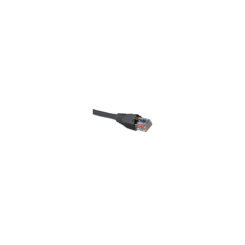 AB361NXT23