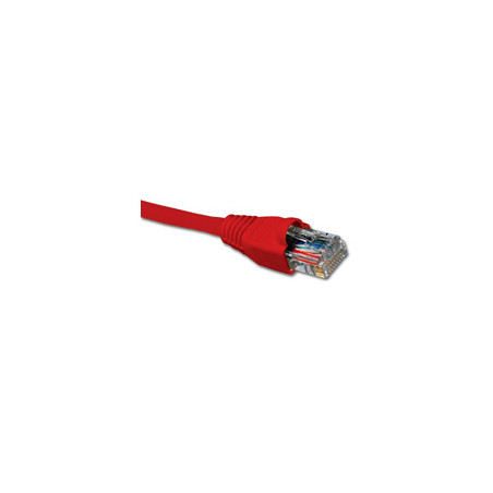 AB361NXT03_1