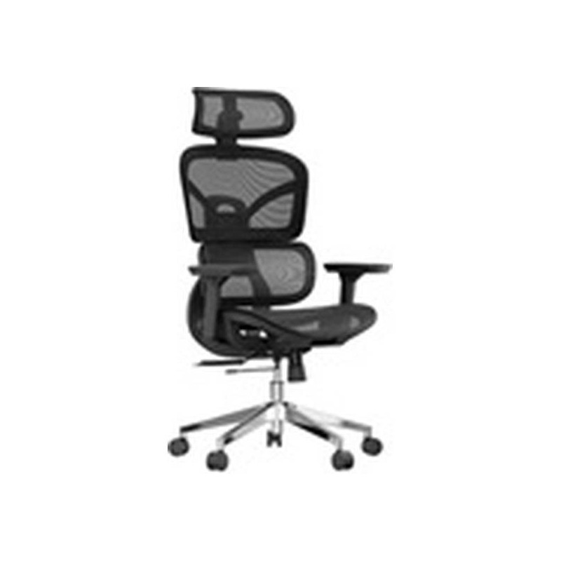 Xtech - Executive Chairs XTF-OC415