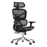 Xtech - Executive Chairs XTF-OC415