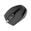 ID010KLX51