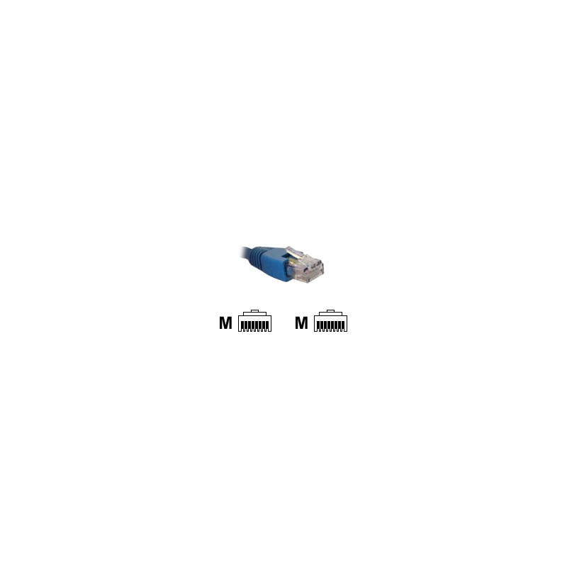 AB361NXT13
