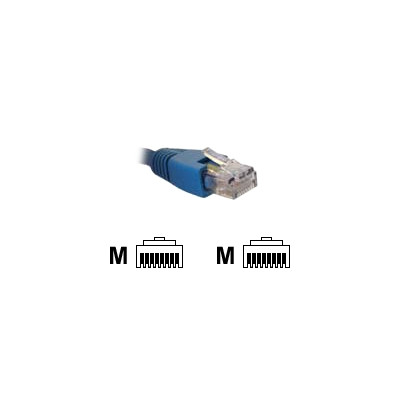 AB361NXT13