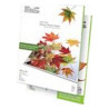 Klip Xtreme KPG-120 - Brillante - ANSI A (Letter) (216 x 279 mm) - 200 g/m² - 20 hoja(s) papel fotográfico brillante