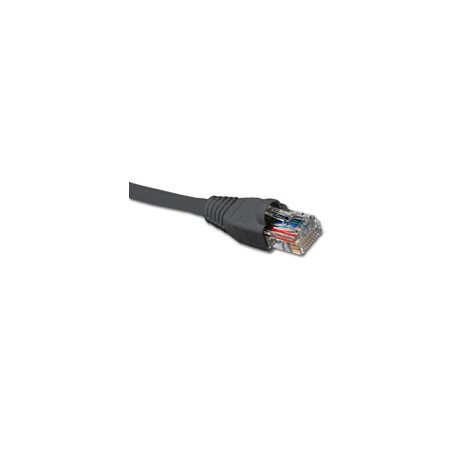 AB361NXT12_1