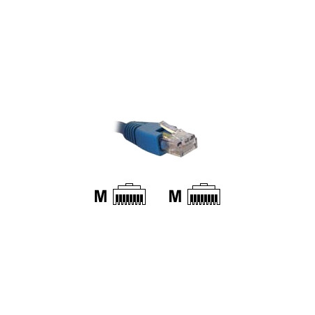 AB361NXT13_2