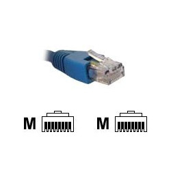 AB361NXT13_1