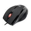 ID010KLX16